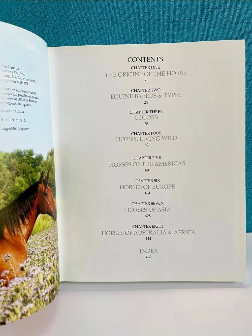 Enchanting Horses by Jennifer Anderson Hardcover book